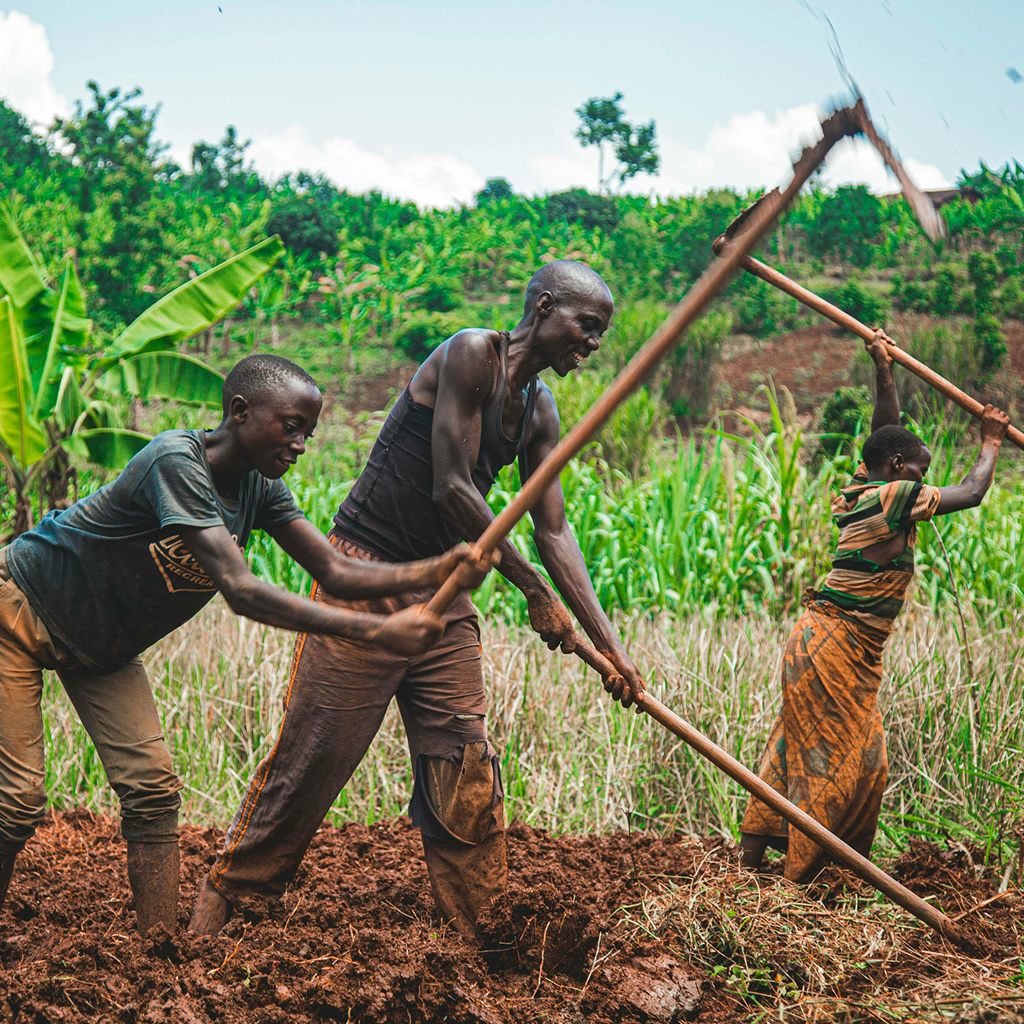 Modern Healthcare Facility